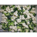 Best Selling high quality frozen vegetables iqf frozen cauliflower